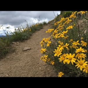 Meet your Posher, Indu